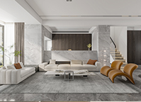 非常華策中心城案例